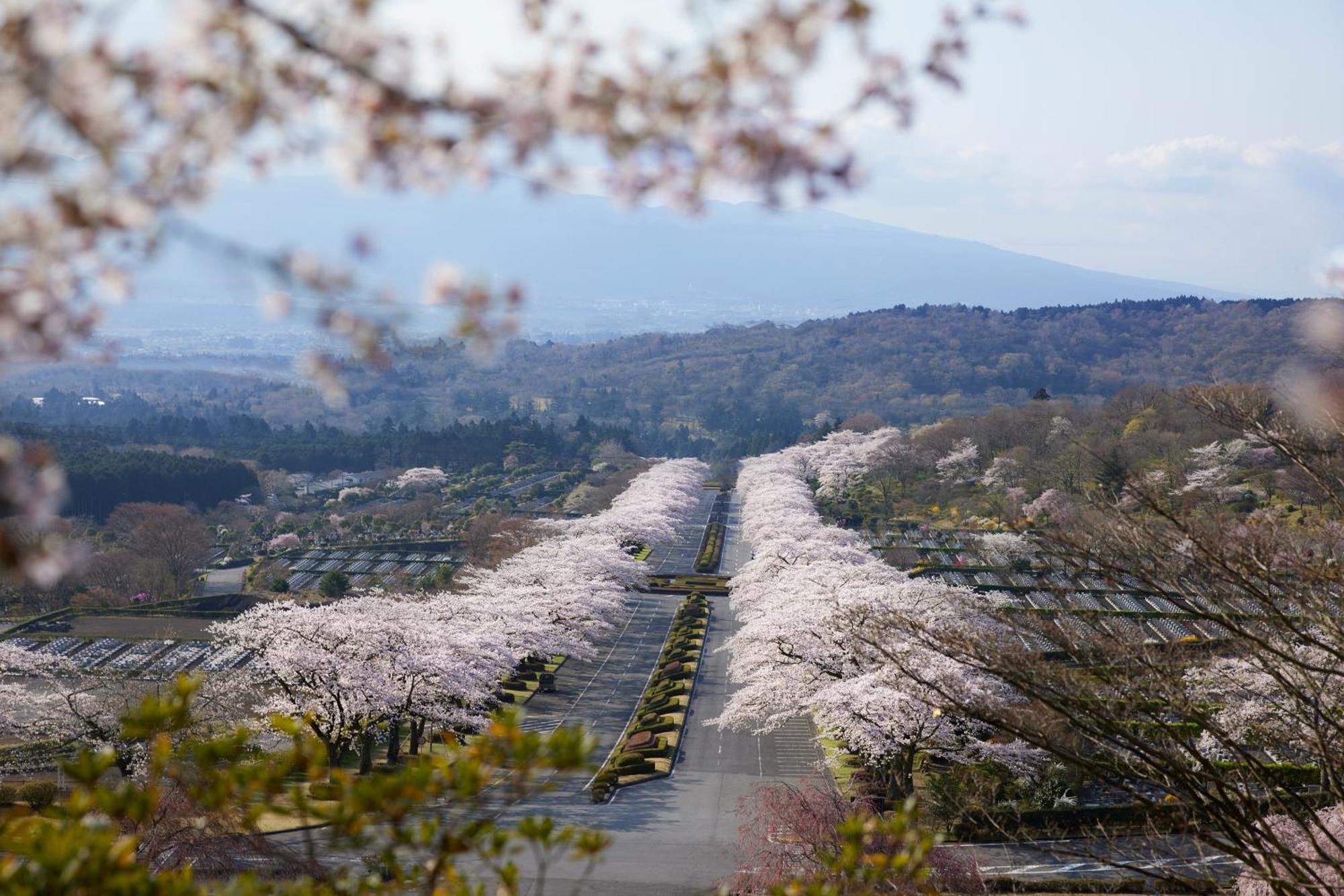 Fuji Speedway Hotel, In The Unbound Collection By Hyatt Oyama  ภายนอก รูปภาพ