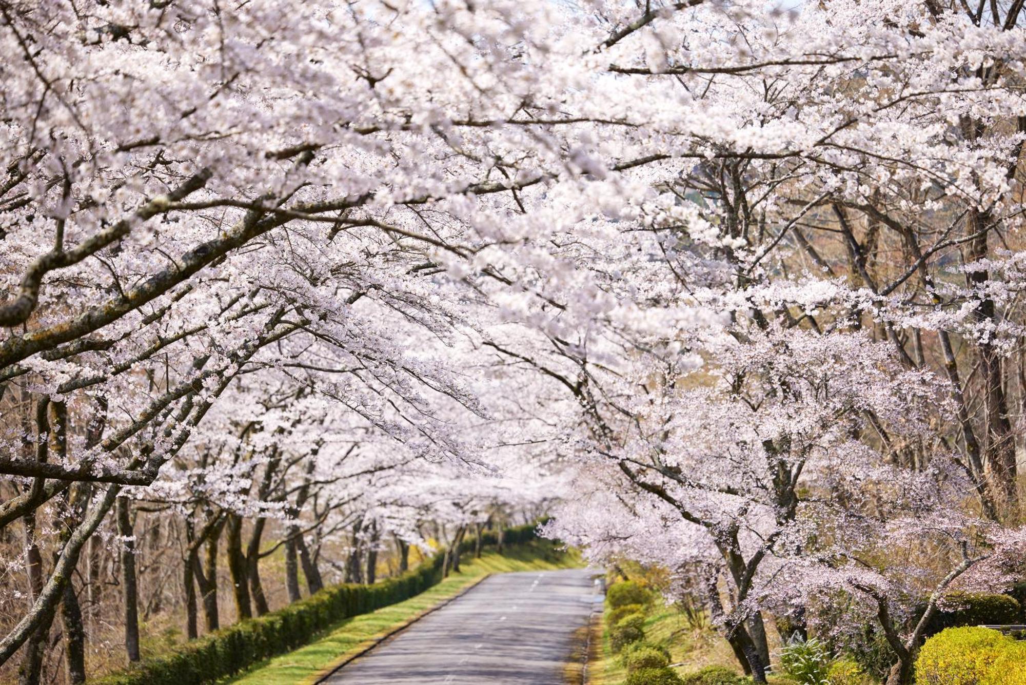 Fuji Speedway Hotel, In The Unbound Collection By Hyatt Oyama  ภายนอก รูปภาพ